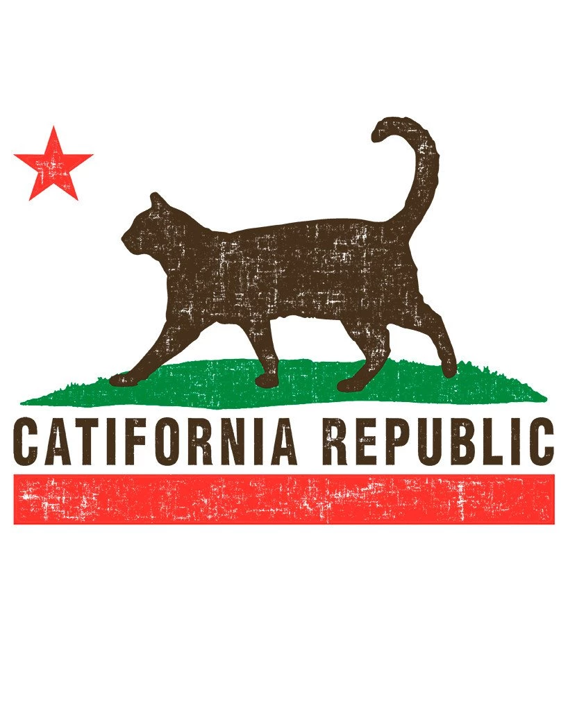Arm The Animals Women's | Catifornia Republic | Ideal Tank Top Tank Tops