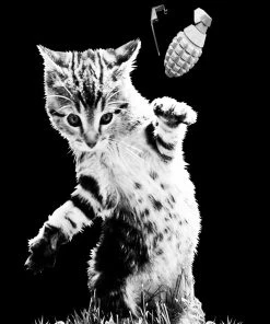 Arm The Animals Unisex | Catastrophe 2.0 | Hoodie Hoodies