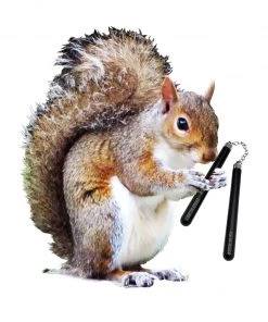 Printify Mugs Accessory | Nut Chucks | Coffee Mug