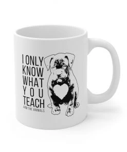 Printify Mugs Accessory | What You Teach Pittie | Coffee Mug