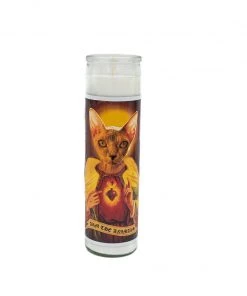 Arm The Animals Home Goods | Holy Sphynx | Devotional Candle