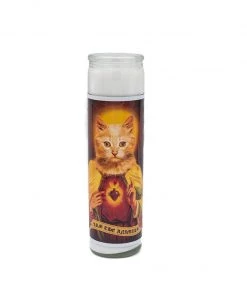 Arm The Animals Home Goods | Holy Tabby | Devotional Candle