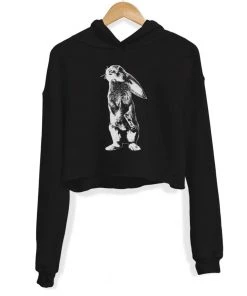 Arm The Animals Women's | Bunshot | Crop Hoodie