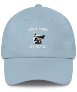 Printful UNISEX | Cats Me Outside, How Bout Dat | Classic Dad Cap