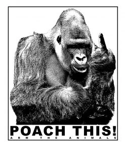 Arm The Animals Stickers | Poach This | Die Cut Sticker