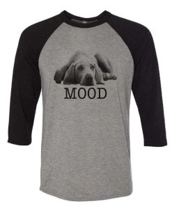 Arm The Animals Unisex | Mood Lazy Dog | 3/4 Sleeve Raglan 3/4 Sleeve Raglans