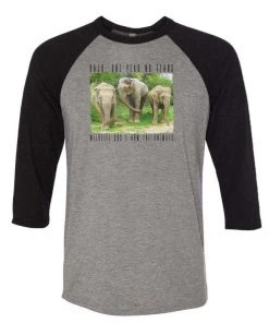 WLSOS Unisex | Raju Family And Friends | 3/4 Sleeve Raglan 3/4 Sleeve Raglans