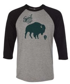Arm The Animals 3/4 Sleeve Raglans Unisex | Spirit | 3/4 Sleeve Raglan